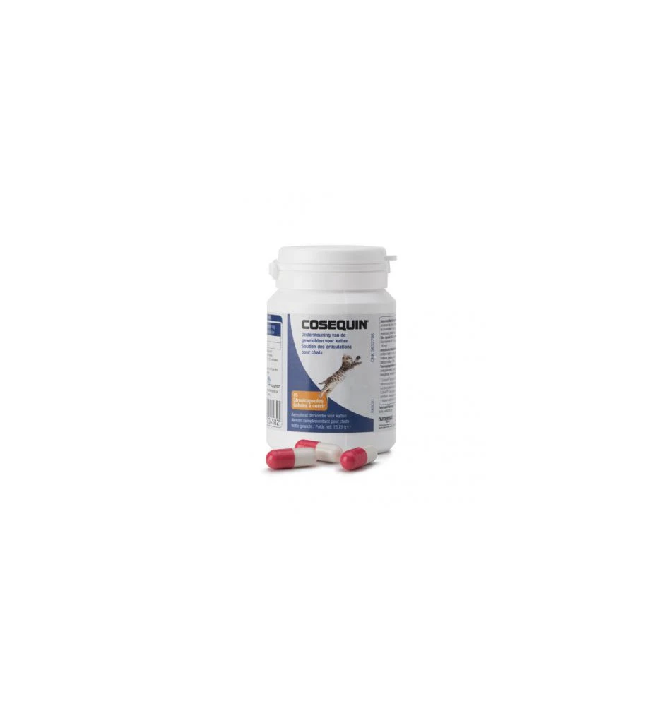 Cosequin Kat - 45 Capsules 1 Cosequin Kat - 45 Capsules