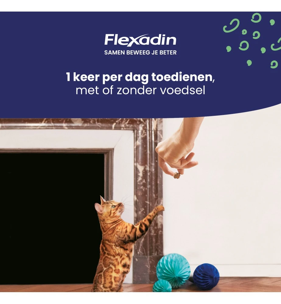 Flexadin Cat - 60 Chews 3 Flexadin Cat - 60 Chews - Afbeelding 3
