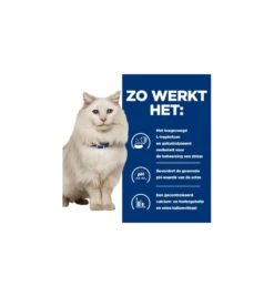 Hill's PD C/D Urinary Care Stress Stoofpotje Met Kip & Groente - 24 X 82 Gram 9 Hill's PD C/D Urinary Care Stress Stoofpotje Met Kip & Groente - 24 X 82 Gram -Virba Huisdier Winkel hill s pd cd urinary stress urinary care stoofpotje met kip groente 24 x 82 gram 3