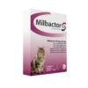 Milbactor Grote Kat (+2 Kg)