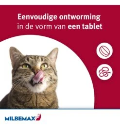 Milbemax Grote Kat 10 Milbemax Grote Kat -Virba Huisdier Winkel milbemax grote kat 2