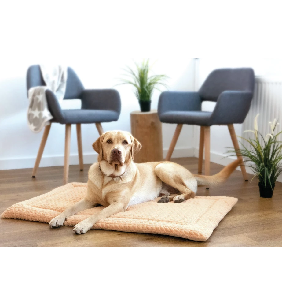 Petlando Deken Daisy Beige 2 Petlando Deken Daisy Beige - Afbeelding 2