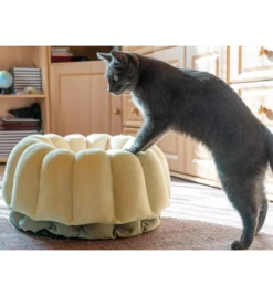 Petlando Ligmand Kat Vienna -Virba Huisdier Winkel petlando ligmand kat vienna 1 2