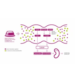 Porus One - 30 X 500 Mg -Virba Huisdier Winkel porus one 30 x 500 mg 3
