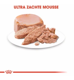 Royal Canin Mother & Babycat Mousse - 12 X 195 Gram -Virba Huisdier Winkel royal canin mother babycat mousse 12 x 195 gram 2