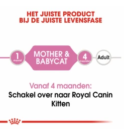 Royal Canin Mother & Babycat Mousse - 12 X 195 Gram -Virba Huisdier Winkel royal canin mother babycat mousse 12 x 195 gram 4