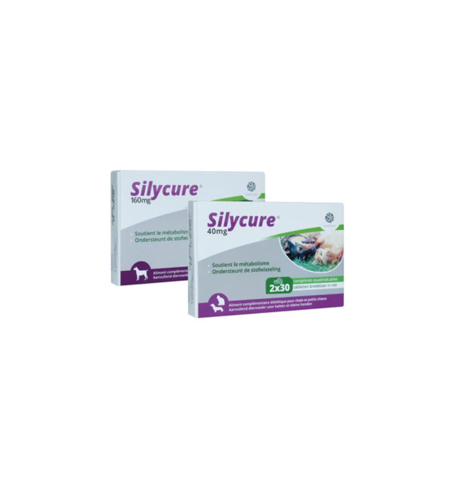 Silycure 40 Mg - 60 Tabletten 3 Silycure 40 Mg - 60 Tabletten - Afbeelding 3