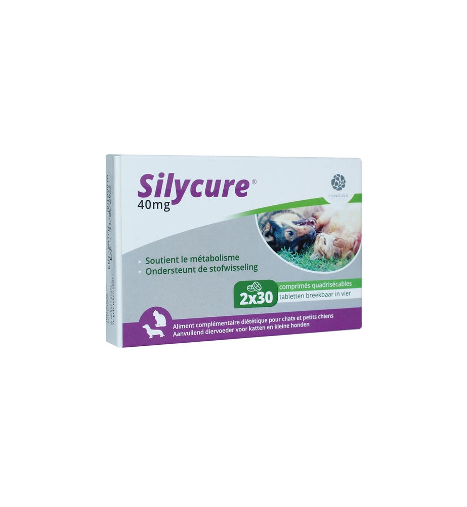 Silycure 40 Mg - 60 Tabletten 1 Silycure 40 Mg - 60 Tabletten
