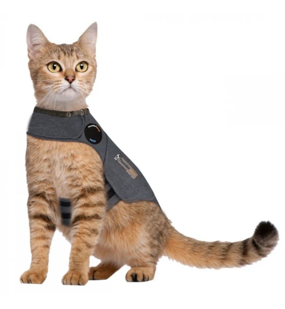 Thundershirt Kat 1 Thundershirt Kat