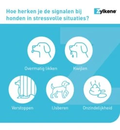 Vetoquinol Zylkène 75 Mg Capsules (- 10 Kg) -Virba Huisdier Winkel zylkene 75 mg capsules 3