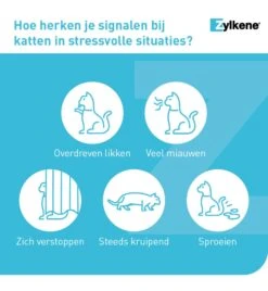 Vetoquinol Zylkène 75 Mg Capsules (- 10 Kg) -Virba Huisdier Winkel zylkene 75 mg capsules 4